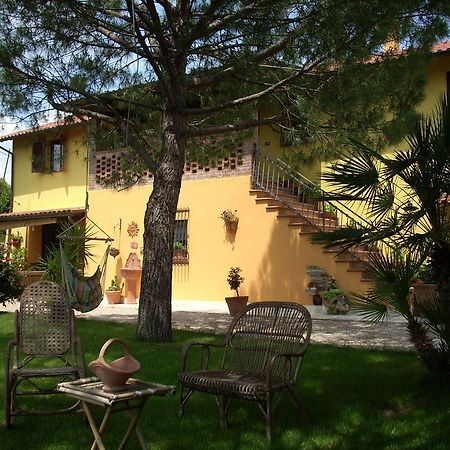 B&B Piceno Castel di Lama Exteriör bild